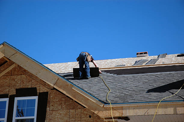 Best Roof Gutter Cleaning  in Highland Park, NJ